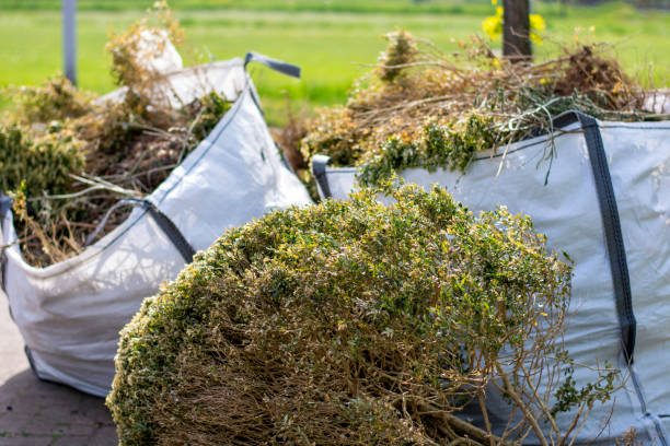 Best Trash Removal Near Me  in Theodore, AL
